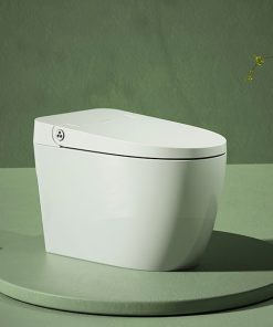 Bồn Cầu Điện Tử American Standard VF-2011PR (VF2011PR) - Ảnh 3