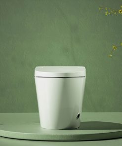 Bồn Cầu Điện Tử American Standard VF-2011PR (VF2011PR) - Ảnh 4